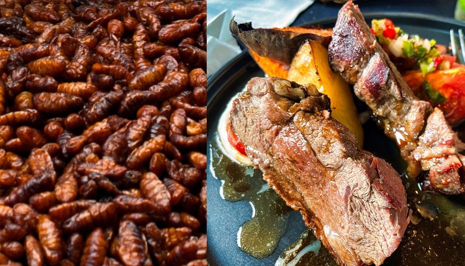 Insekter och vegonorm för skolbarn – riksdagen serverar kött varje dag