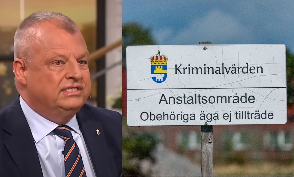 Kriminalvårdens GD vill fängsla färre