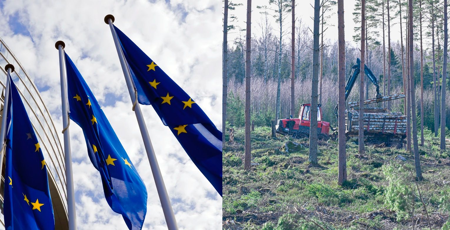 Sågat EU-förslag om skogsbruk räddades av L – Kostar Sverige 350 miljarder