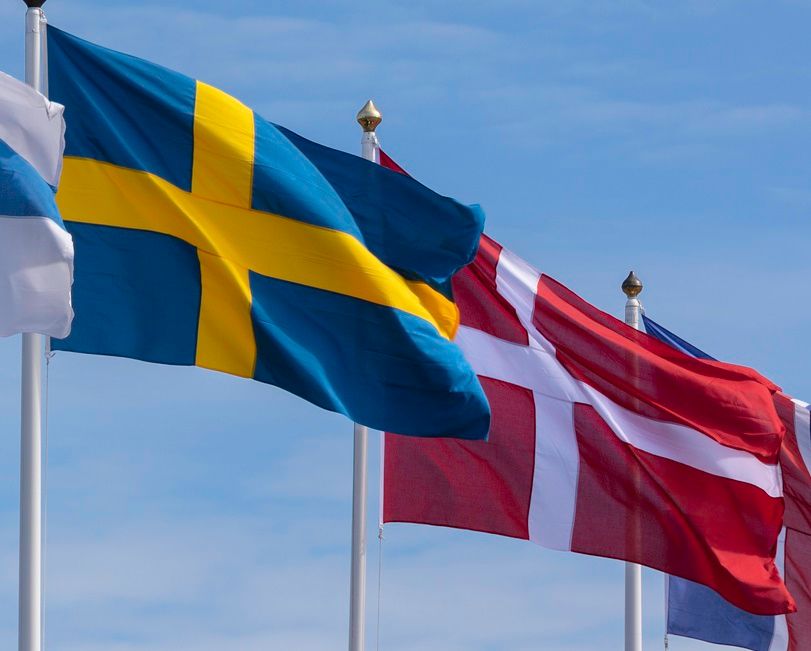 Dansk politiker: Vi vill ha “det svenska tillståndet”