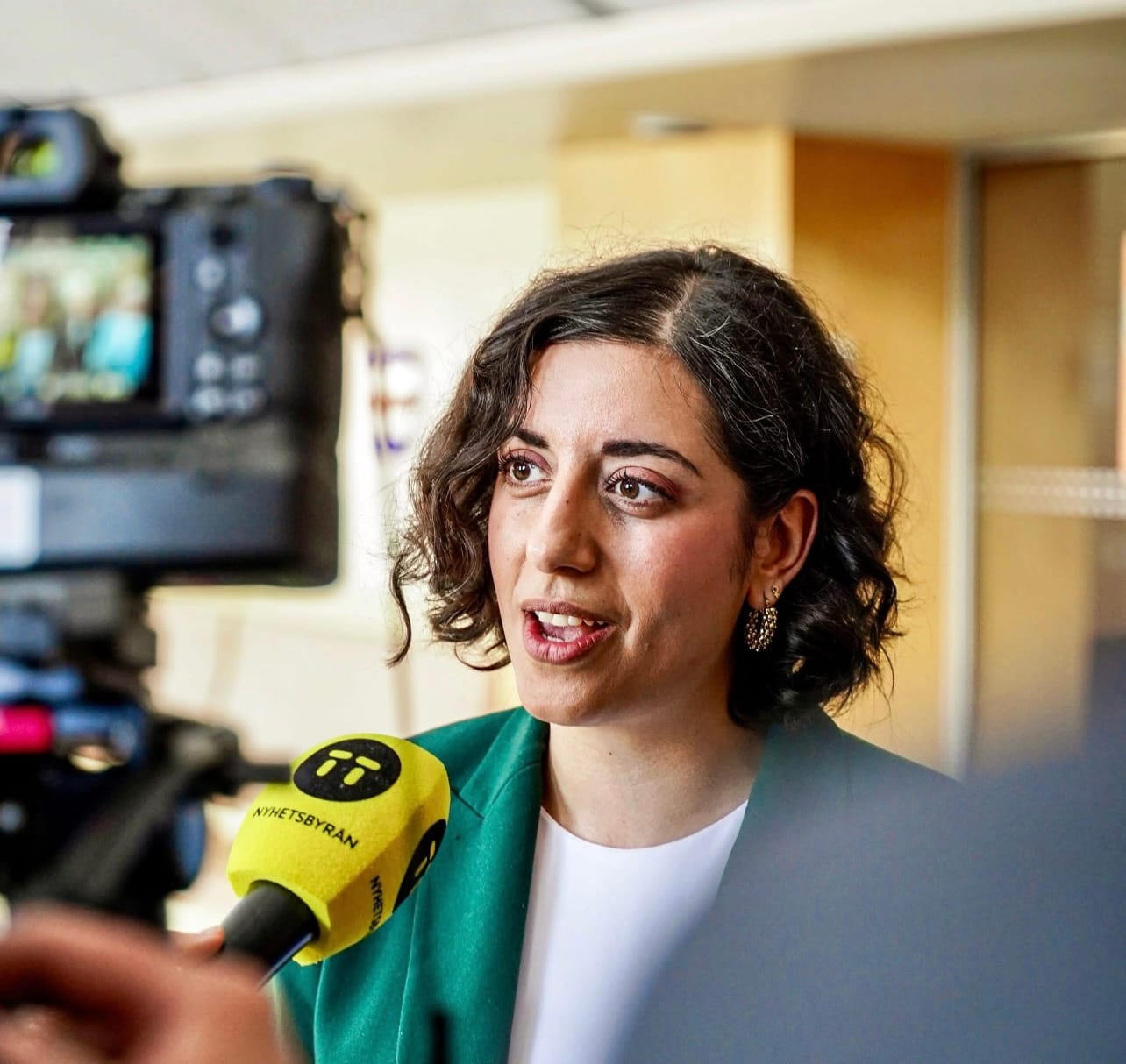 Liberalernas självskadebeteende